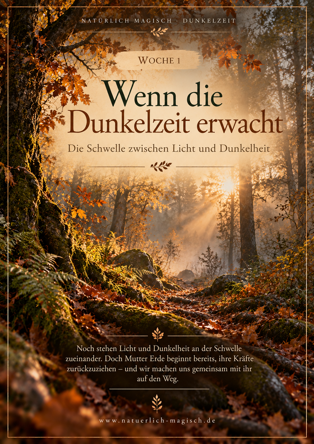 Wenn die Dunkelzeit erwacht